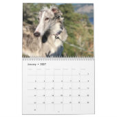 Silken Windhounds 2021 - Head Shots Kalender (Jan 2027)