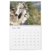 Silken Windhounds 2021 - Head Shots Kalender (Jan 2026)