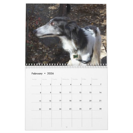 Silken Windhounds 2021 - Head Shots Kalender (Feb 2026)