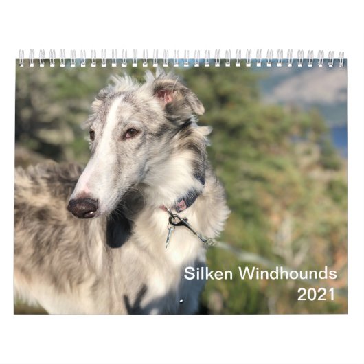 Silken Windhounds 2021 - Head Shots Kalender (Titelbild)