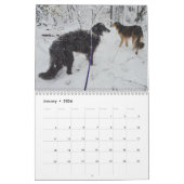 Silken Windhounds 2021 Mehrere Erwachsene Kalender (Jan 2026)