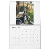 Silken Windhounds 2021 Mehrere Erwachsene Kalender (Feb 2026)