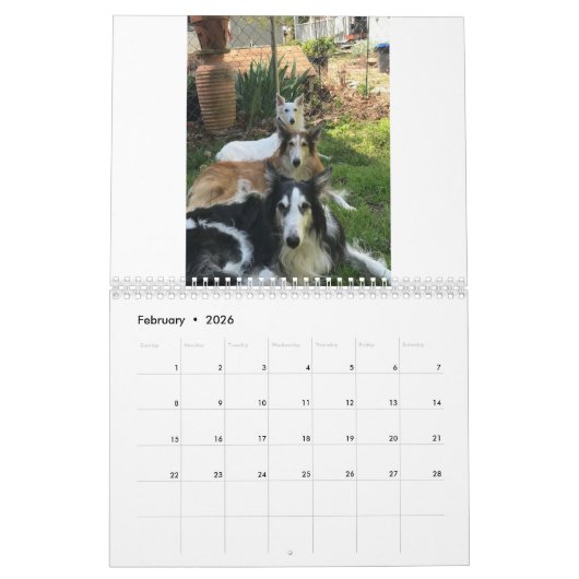 Silken Windhounds 2021 Mehrere Erwachsene Kalender (Feb 2026)