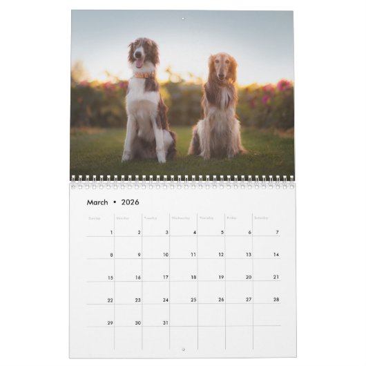 Silken Windhounds 2021 Mehrere Erwachsene Kalender (Mär 2026)