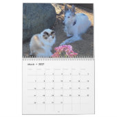 Silken Windhounds 2021 - mit Friends Kalender (Mär 2027)