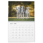 Silken Windhounds 2021 von Vicky Groebl - Erwachse Kalender (Mär 2026)