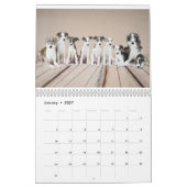 Silken Windhounds 2021 von Vicky Groebl - Puppies  Kalender (Jan 2027)