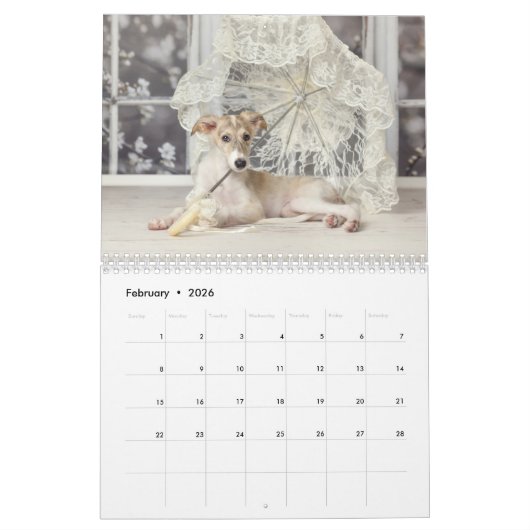 Silken Windhounds 2021 von Vicky Groebl - Puppies Kalender (Feb 2026)
