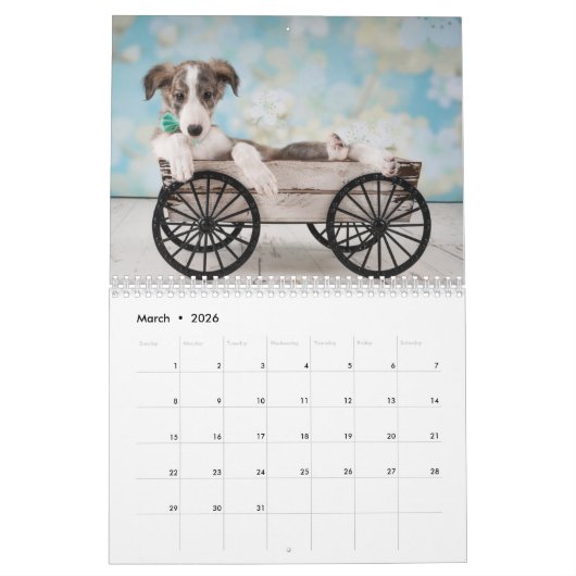 Silken Windhounds 2021 von Vicky Groebl - Puppies Kalender (Mär 2026)