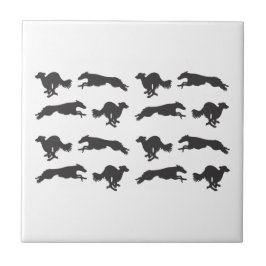 Silken Windhounds laufen Fliese