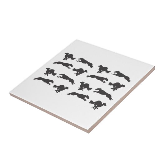 Silken Windhounds laufen Fliese (Seite)