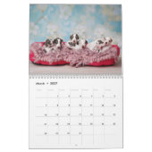 Silken Windhounds von Vicky Groebl Puppies 1-2 Kalender (Mär 2027)