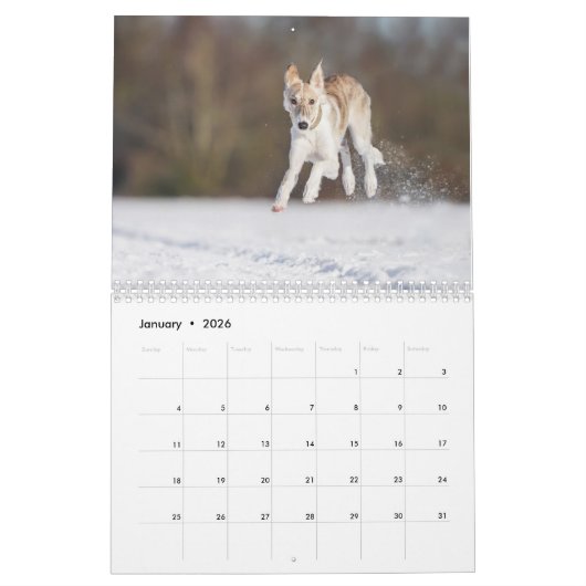 Silken Windhounds von Vicky Groebl Puppies 1-2 Kalender (Jan 2026)
