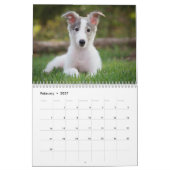 Silken Windhunden 2021 Welpen Kalender (Feb 2027)
