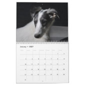 Silken Windhunden 2021 Welpen Kalender (Jan 2027)