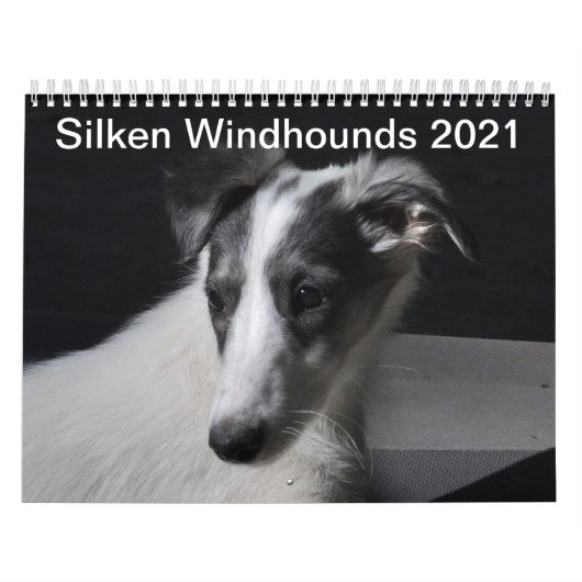 Silken Windhunden 2021 Welpen Kalender (Titelbild)