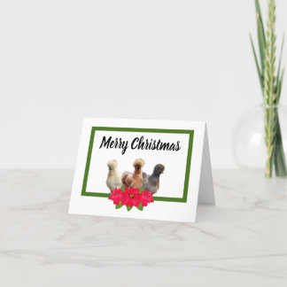 Silkie Bantam Frohe Weihnachtsgebäck Poinsettia Feiertagskarte