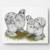 Silkie Bantam Splash Chickens Fotoplatte (Vorderseite)
