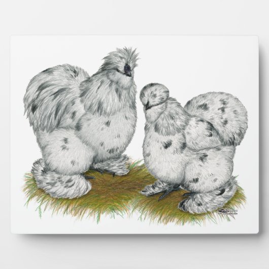 Silkie Bantam Splash Chickens Fotoplatte (Vorderseite)