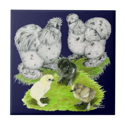 Silkie Bantam Splash Familie Fliese (Vorderseite)