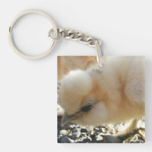 Silkie Chick Schlüsselanhänger