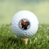 Silkie Circle Golfball (Insitu T-Shirt)