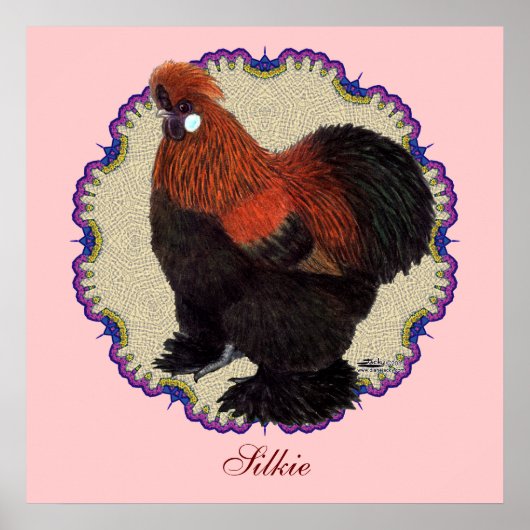 Silkie Circle Poster (Vorne)