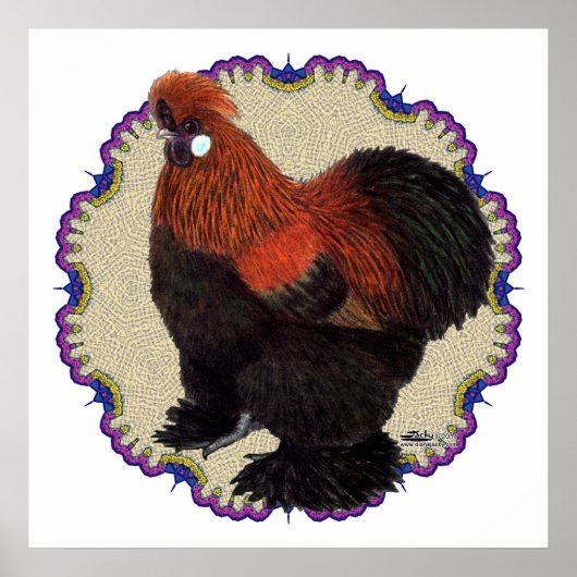 Silkie Circle Poster (Vorne)