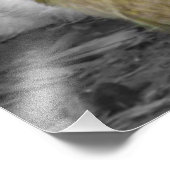 Silkie Hens mit Hühnern pinkeln aus Federn Fotodruck (Ecke)