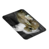 Silkie Hens mit Hühnern pinkeln aus Federn Magnet (Rechte Seite)