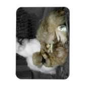 Silkie Hens mit Hühnern pinkeln aus Federn Magnet (Vertikal)