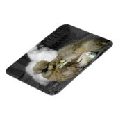 Silkie Hens mit Hühnern pinkeln aus Federn Magnet (Linke Seite)