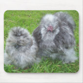 Silkie Huhn Mousepad (Vorne)