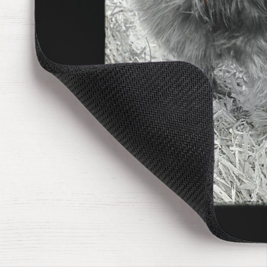 Silkie Mousepad (Ecke)
