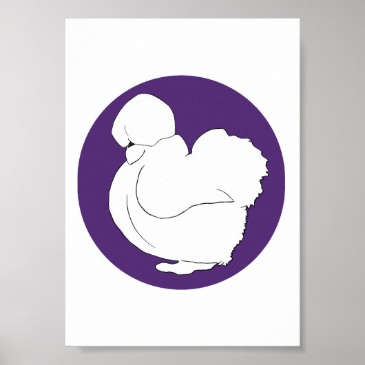 Silkie Poster (Vorne)