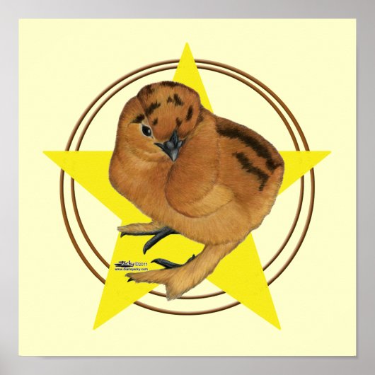 Silkie Red Chick Star Poster (Vorne)