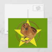 Silkie Red Chick Star Postkarte (Vorne/Hinten)