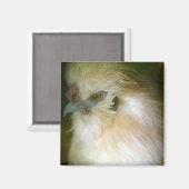 Silkie Rooster Magnet (Vorderseite/Rückseite)