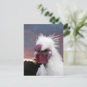 Silkie Rooster Postkarte (Stehend Vorderseite)