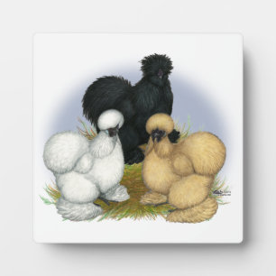 Silkie Trio bleibt gleich, da es sich um einen Eig Fotoplatte