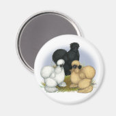 Silkie Trio Magnet (Vorderseite/Rückseite)