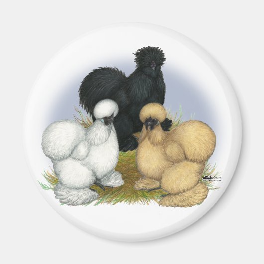 Silkie Trio Magnet (Vorne)