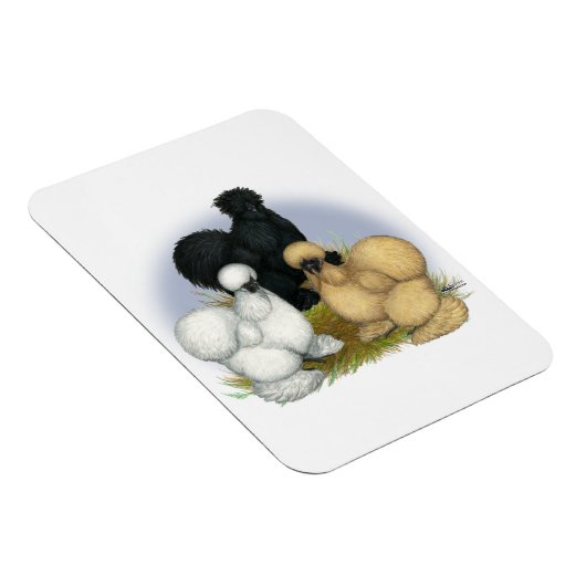 Silkie Trio Magnet (Rechte Seite)