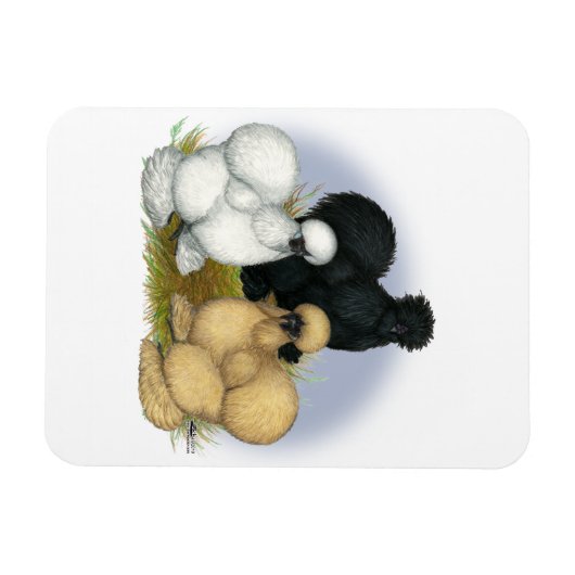 Silkie Trio Magnet (Horizontal)