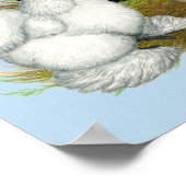 Silkie Trio Poster (Ecke)