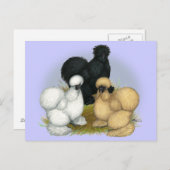 Silkie Trio Postkarte (Vorne/Hinten)