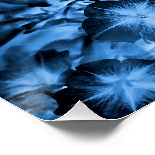 Silky Blue.. Poster (Ecke)