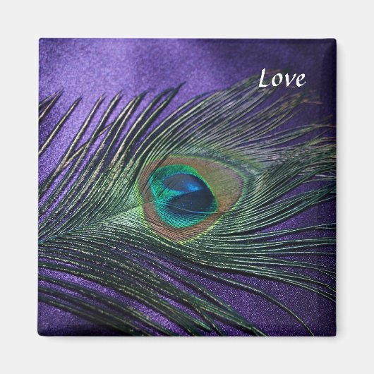 Silky Lila Peacock Feather Magnet (Vorne)