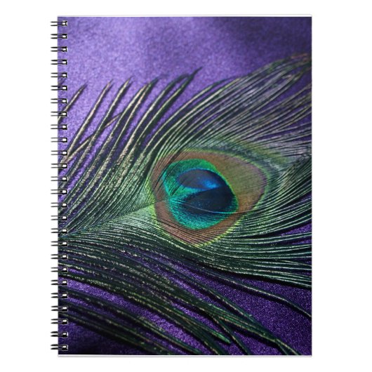 Silky Lila Peacock Feather Notizblock (Vorderseite)