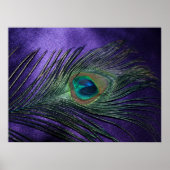 Silky Lila Peacock Feather Poster (Vorne)